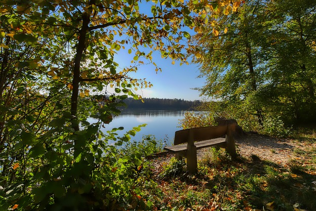 库里的出色 库里的出色