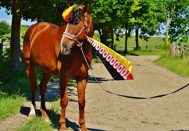 如果球队踢 如果球队踢