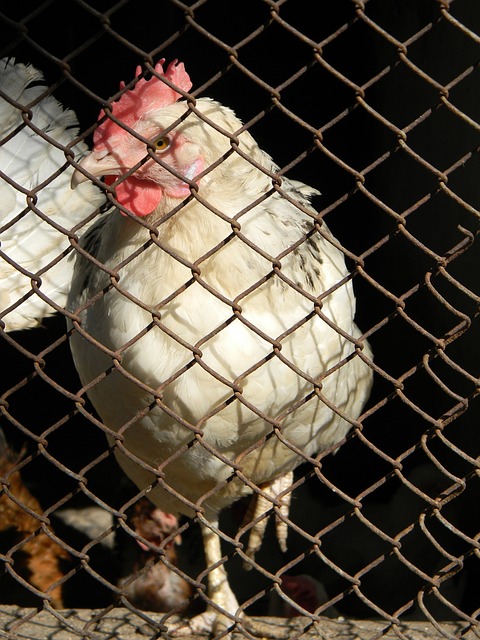 他的身高 他的身高