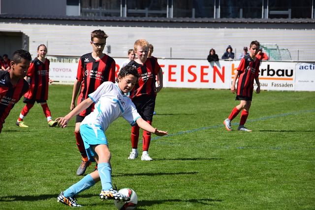 这种团队属 这种团队属