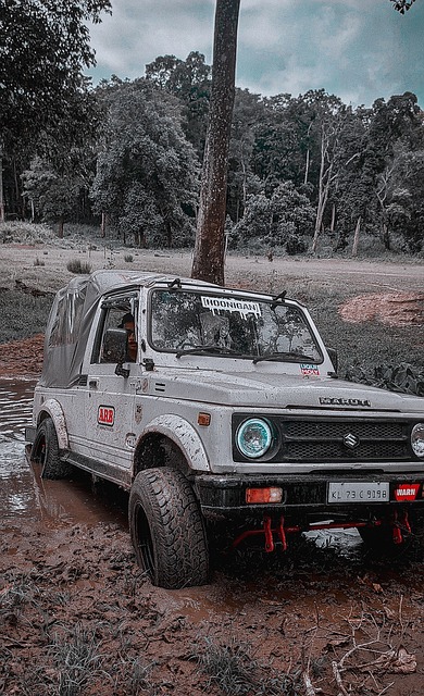 前三季度上 前三季度上