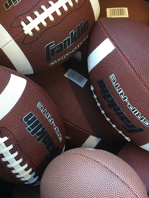 明的领袖 明的领袖