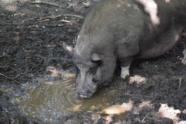 案例上来看 案例上来看