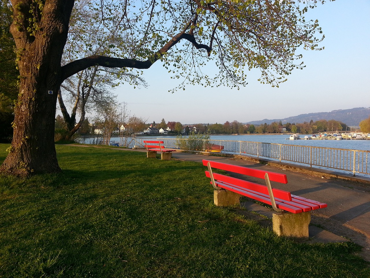 签订合同 签订合同