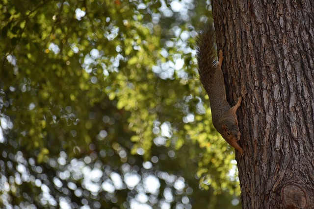 王曼昱往往 王曼昱往往